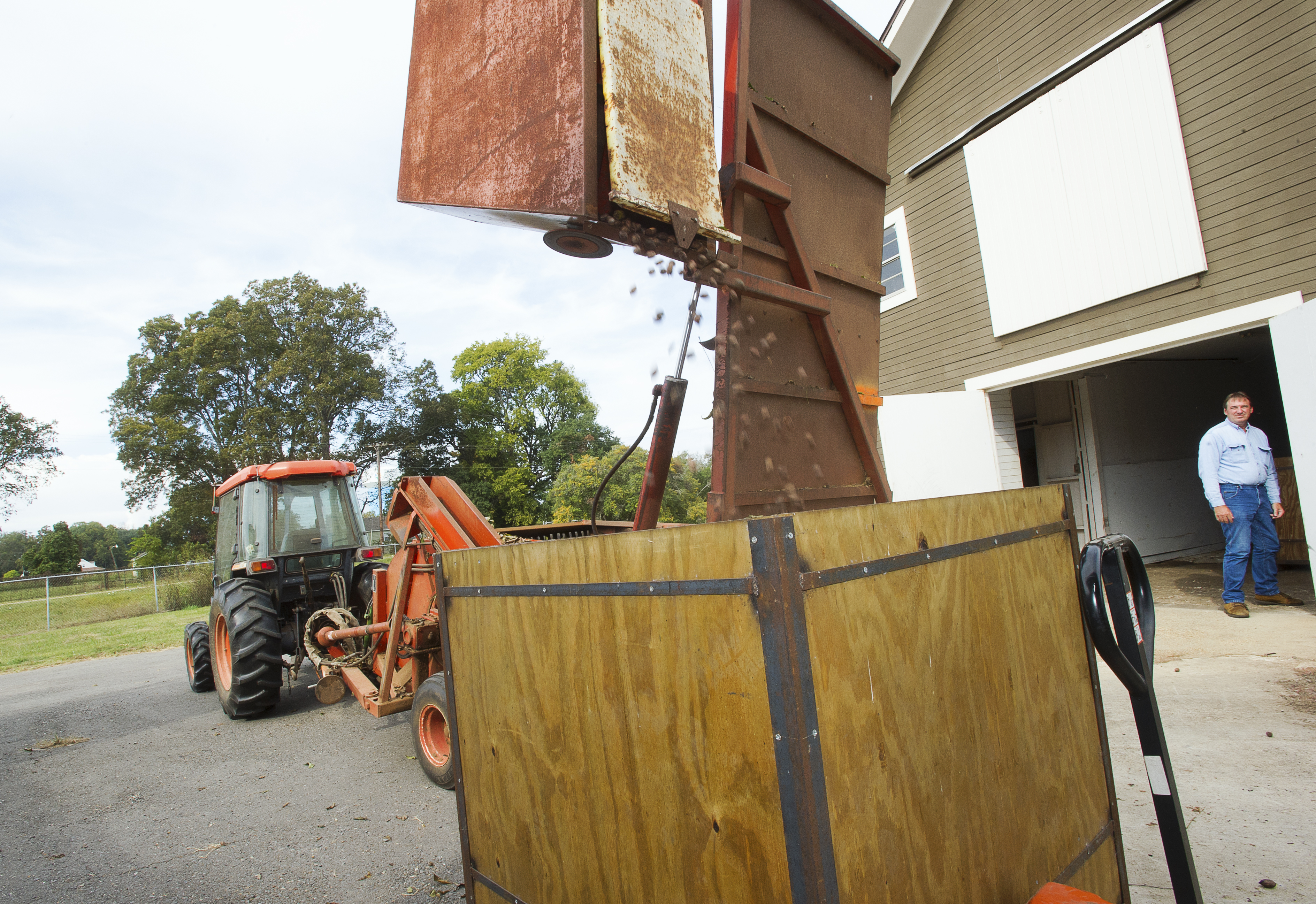 emptying pecans.jpg thumbnail